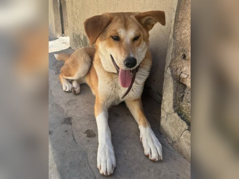 Zara ❤️ will endlich Liebe+Nähe spüren