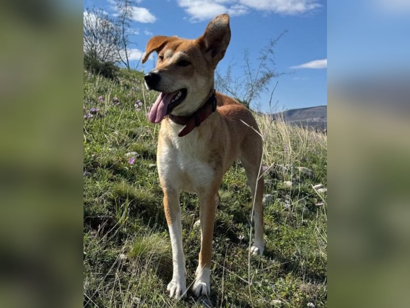 Zara ❤️ will endlich Liebe+Nähe spüren