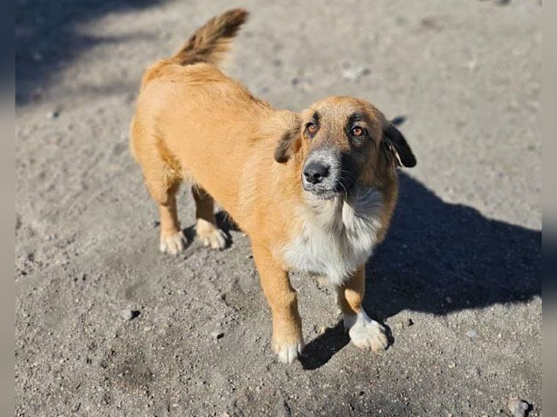 Besuche Grace in 64711 Erbach ❤