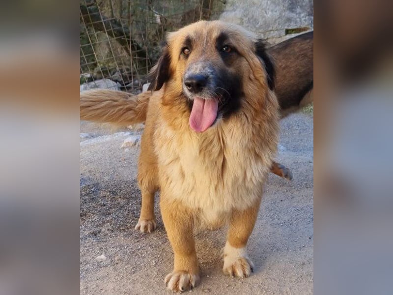 Besuche Grace in 64711 Erbach ❤