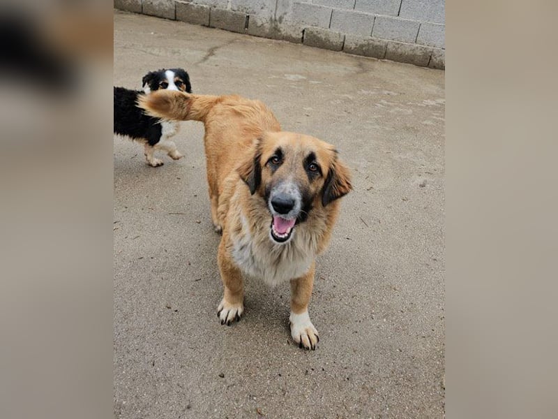 Besuche Grace in 64711 Erbach ❤