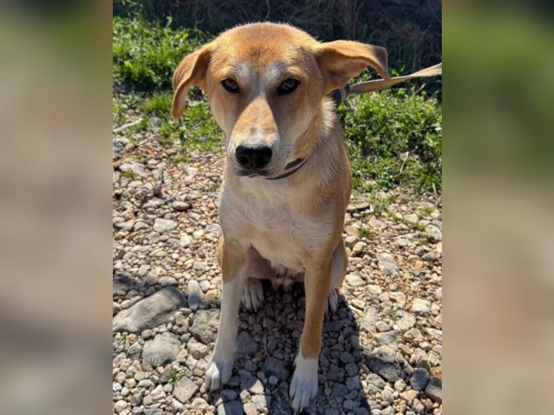 Zara ❤️ will endlich Liebe+Nähe spüren