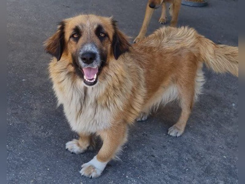 Besuche Grace in 64711 Erbach ❤
