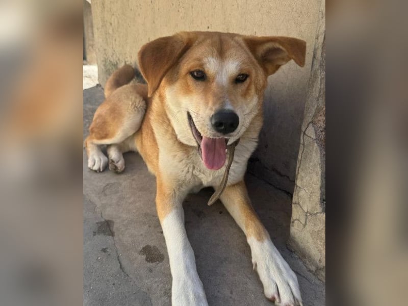 Zara ❤️ will endlich Liebe+Nähe spüren