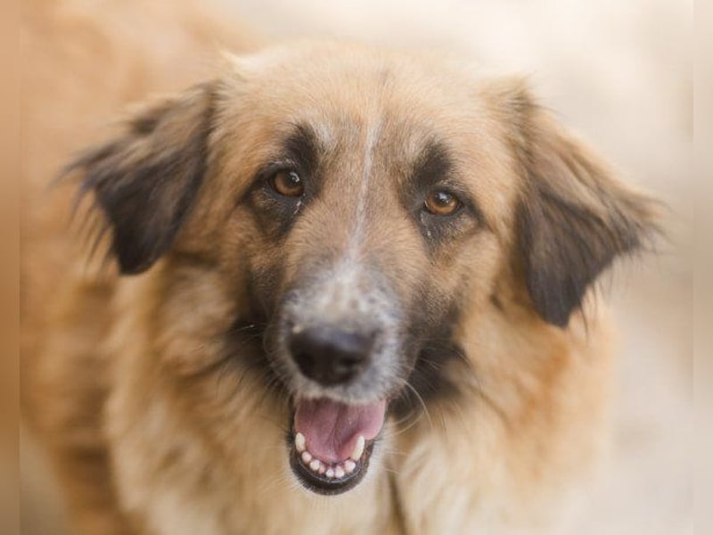Besuche Grace in 64711 Erbach ❤