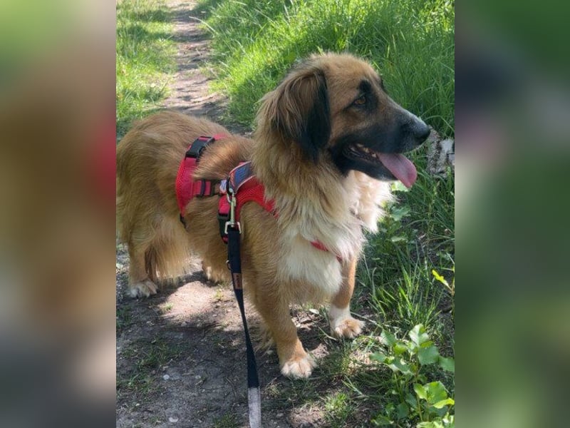 Besuche Grace in 64711 Erbach ❤