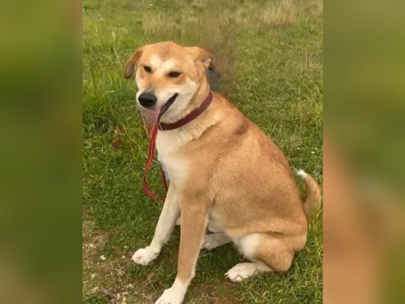 Zara ❤️ will endlich Liebe+Nähe spüren