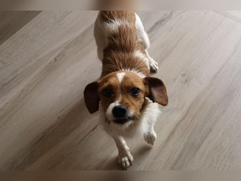 Lena (TO) Verspielt und stets freundlich