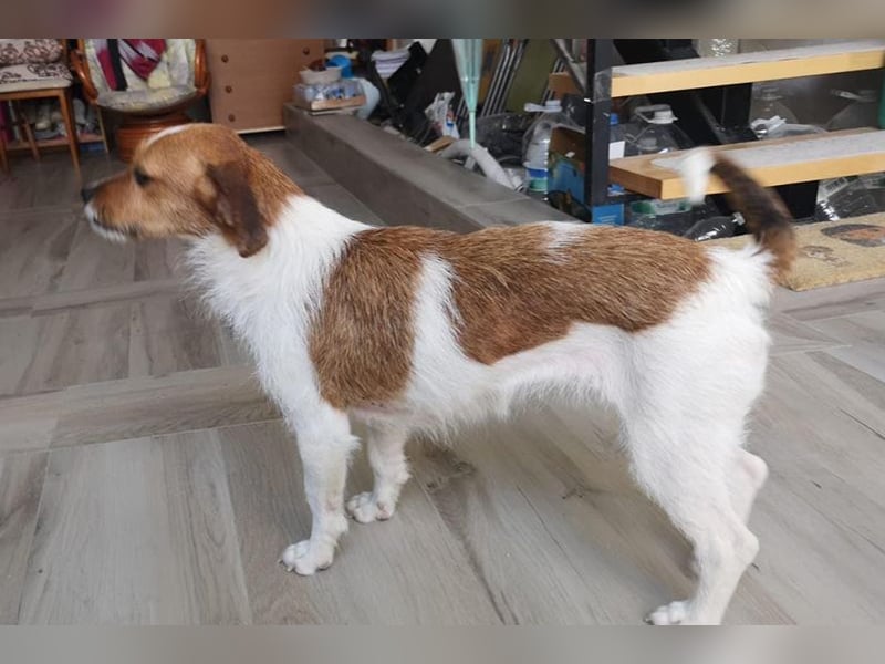 Lena (TO) Verspielt und stets freundlich