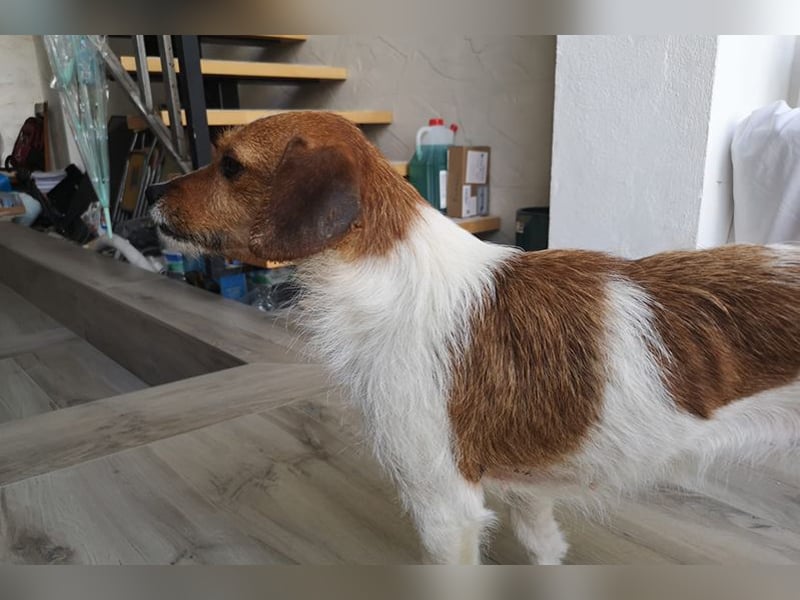 Lena (TO) Verspielt und stets freundlich