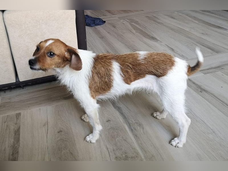 Lena (TO) Verspielt und stets freundlich