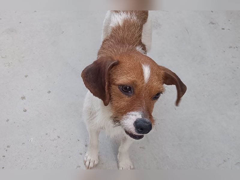 Lena (TO) Verspielt und stets freundlich