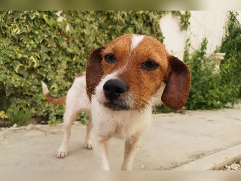 Lena (TO) Verspielt und stets freundlich
