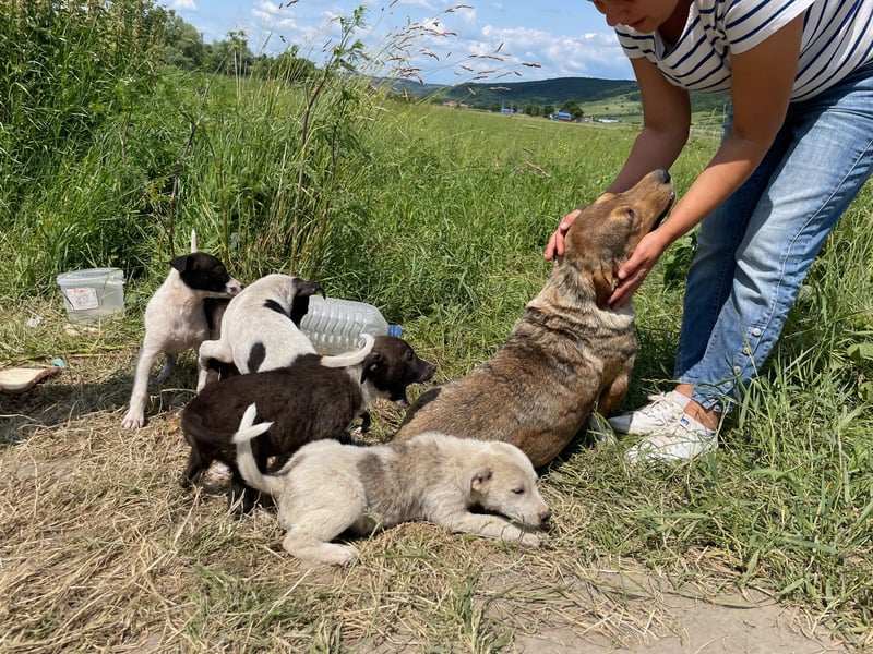 VANISHA sucht ein Zuhause