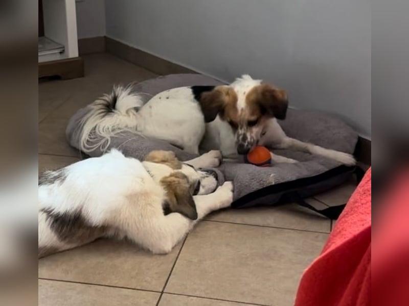 Nelly - gerade nochmal Glück gehabt