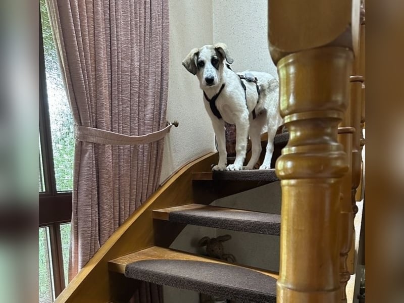 Nelly - gerade nochmal Glück gehabt