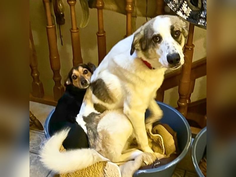 Nelly - gerade nochmal Glück gehabt