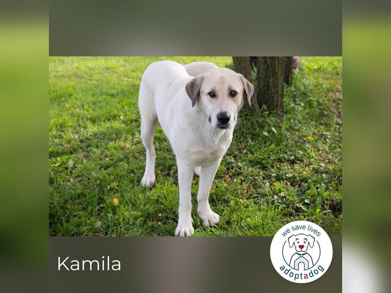 Kamila: Ruhige, liebe Seele