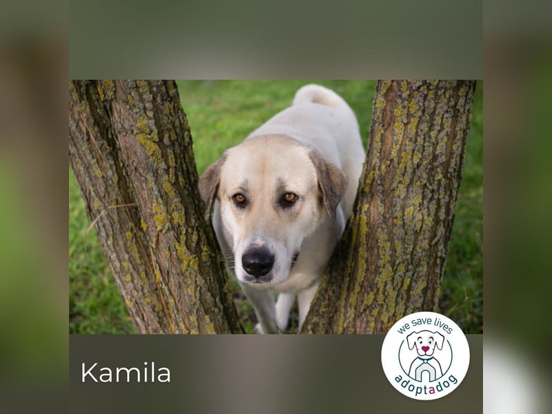 Kamila: Ruhige, liebe Seele