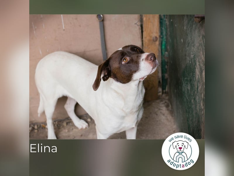 Elina: Zarte Sanftheit