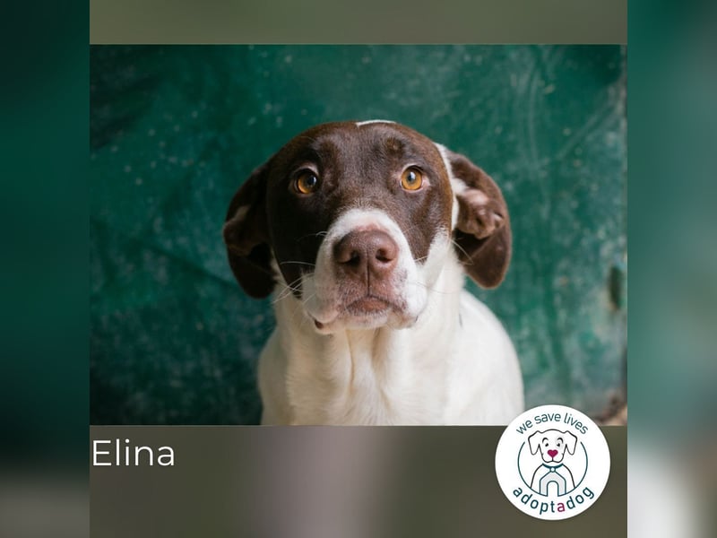 Elina: Zarte Sanftheit