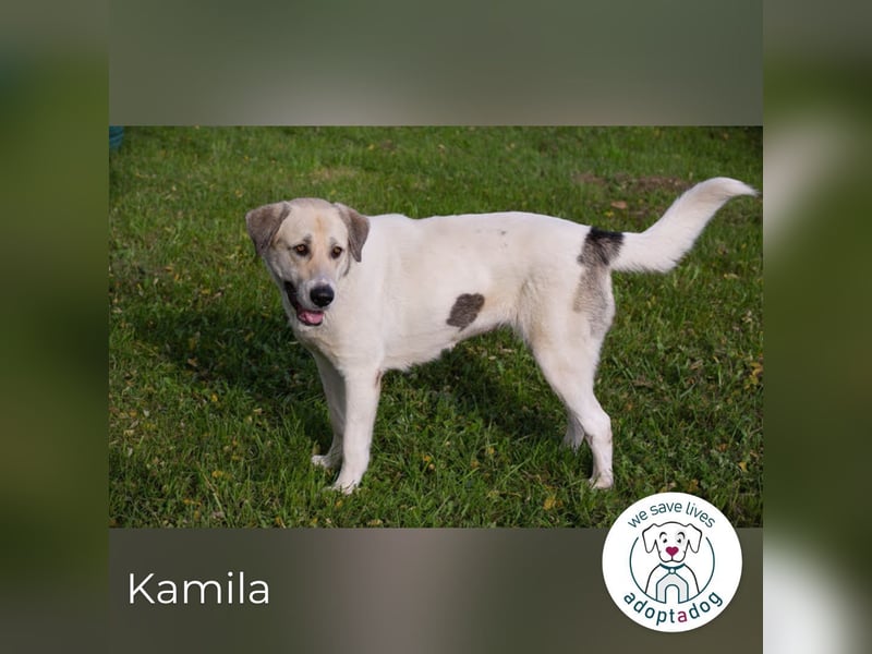 Kamila: Ruhige, liebe Seele