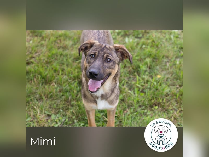 Mimi: Mit einem Lächeln ins Glück