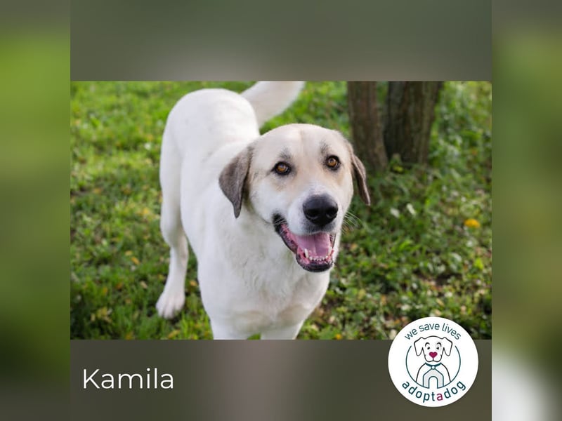 Kamila: Ruhige, liebe Seele