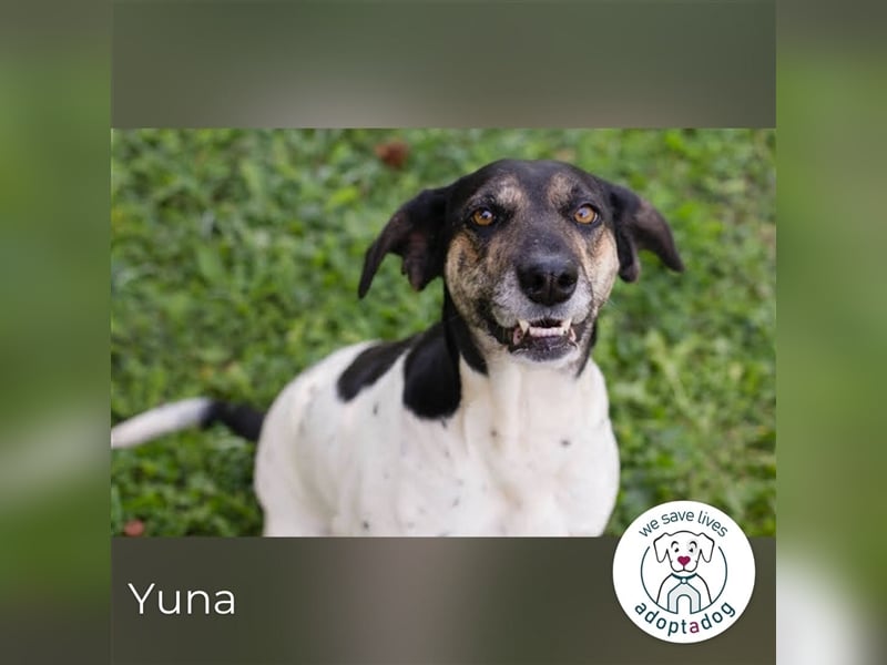 Yuna: Stets an deiner Seite