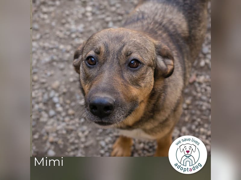 Mimi: Mit einem Lächeln ins Glück
