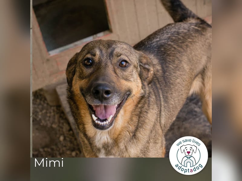 Mimi: Mit einem Lächeln ins Glück