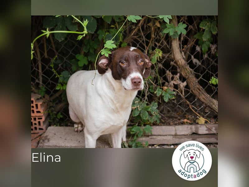Elina: Zarte Sanftheit