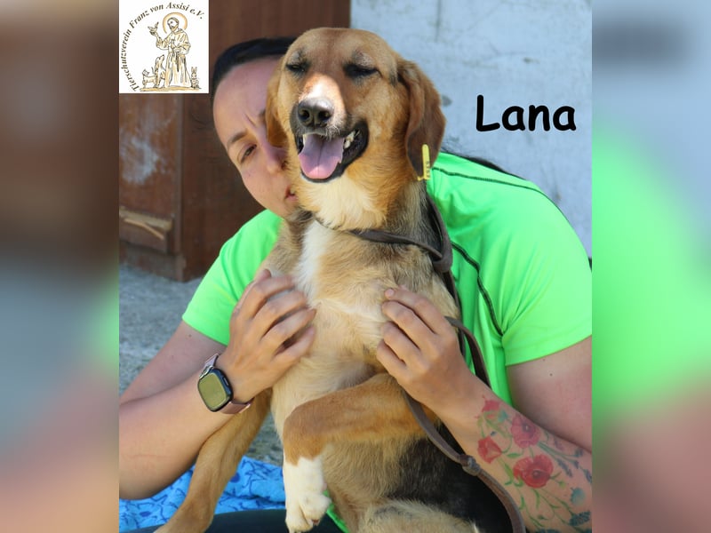 Lana – hübsch und anschmiegsam