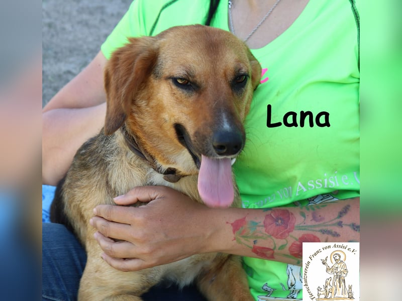 Lana – hübsch und anschmiegsam