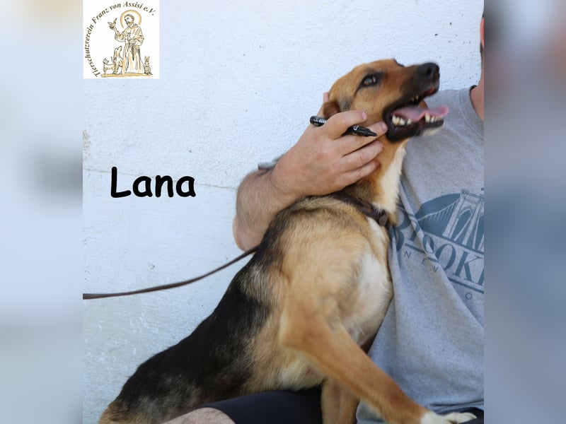 Lana – hübsch und anschmiegsam