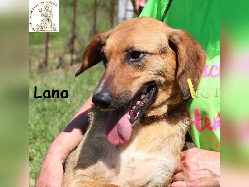 Lana – hübsch und anschmiegsam