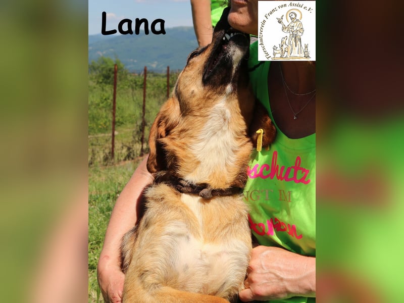 Lana – hübsch und anschmiegsam
