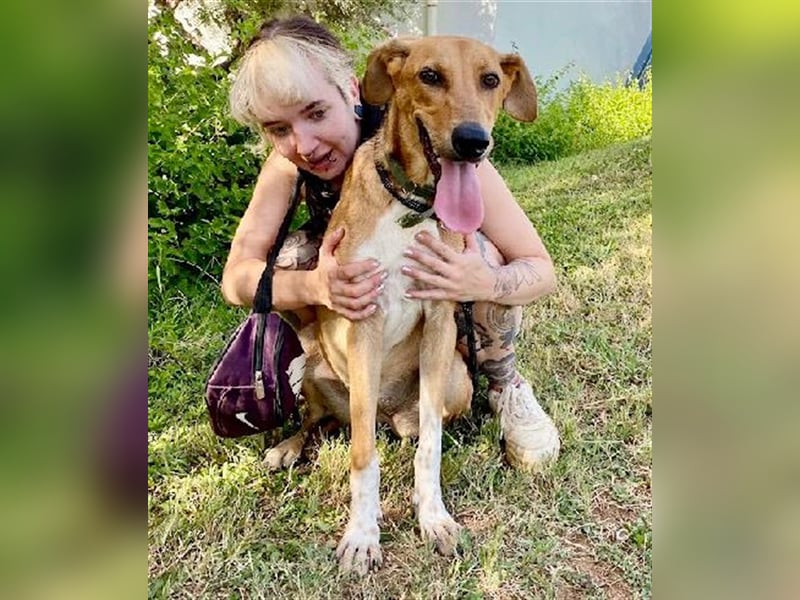 Wunderschöne liebe Hazel sucht eine Familie