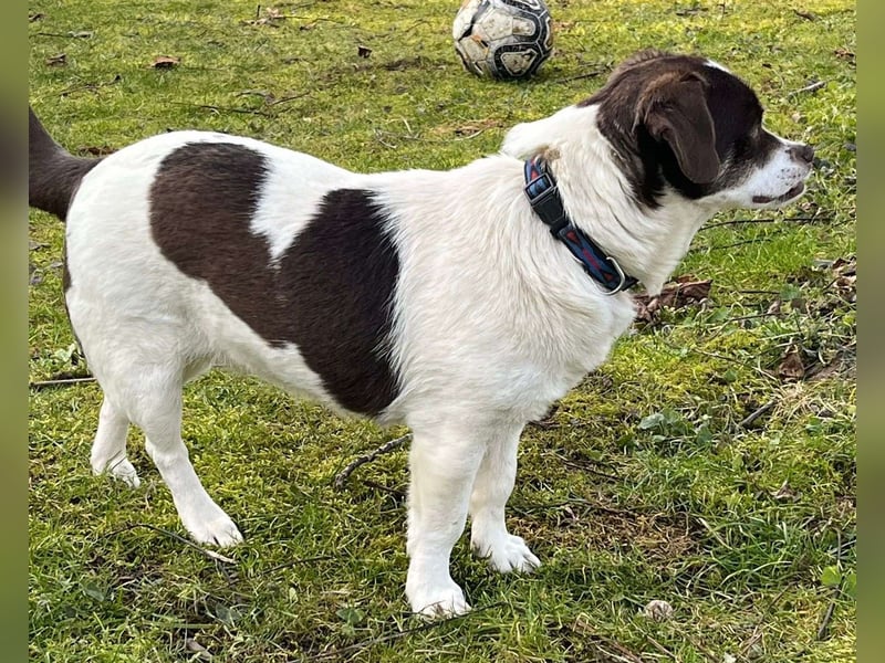 HAZEL, junggebliebene Lady mit charmantem Überbiss sucht Familienanschluss!