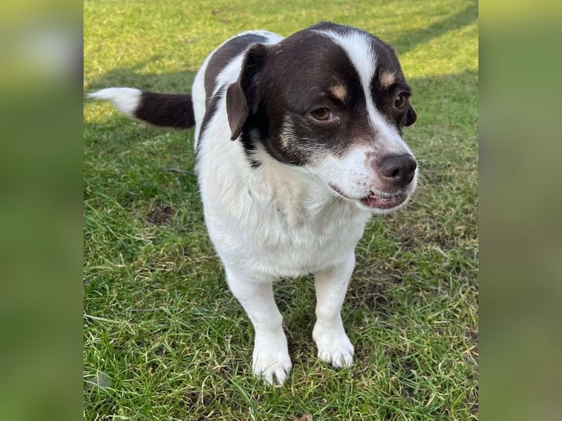 HAZEL, junggebliebene Lady mit charmantem Überbiss sucht Familienanschluss!