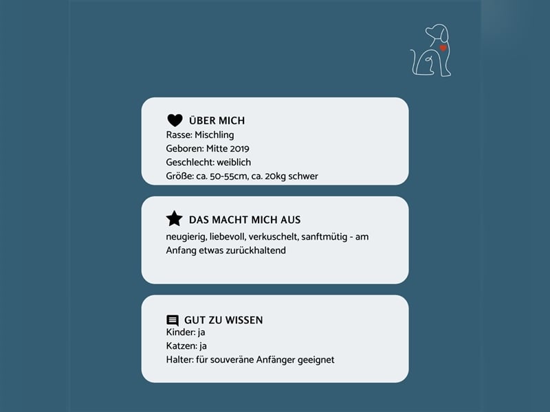 Nisha - 3 Jahre jung - sucht ihre Menschen