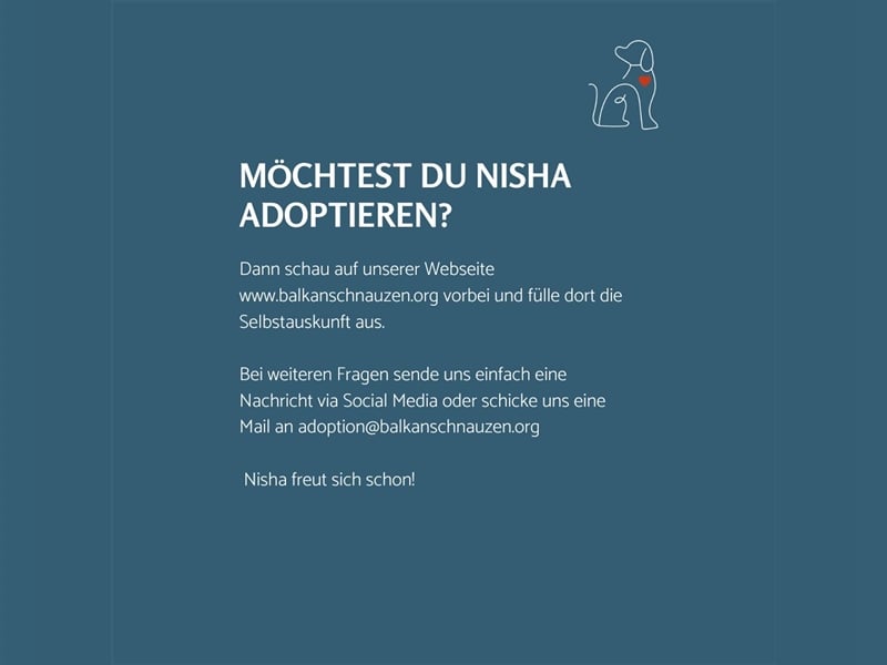 Nisha - 3 Jahre jung - sucht ihre Menschen