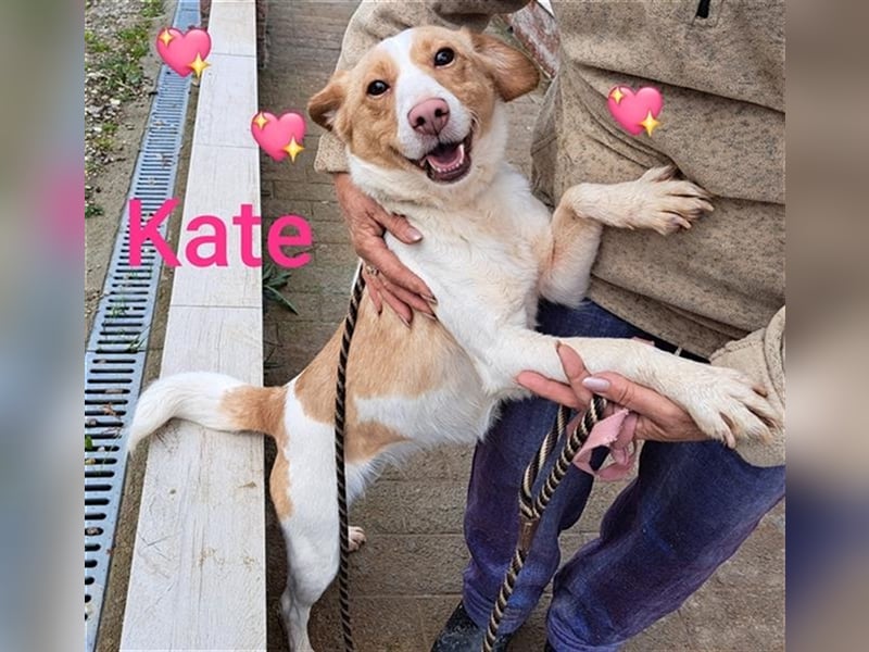 Kate , 38cm , lebt auf einer PS nähe Köln