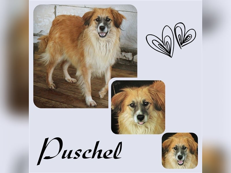 Puschel sucht ihr eigenes Körbchen