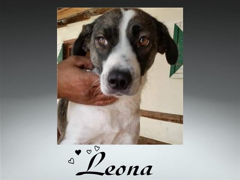 Die zauberhafte Leona stellt sich vor!