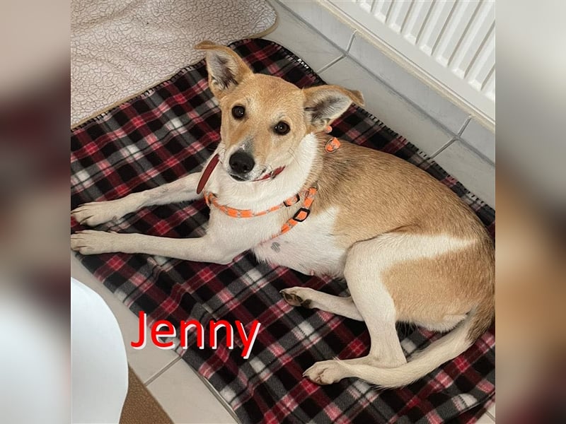 JENNY ❤ (wird mittlerweile „Lilly“ genannt)  wartet in 93413 Cham auf Dich