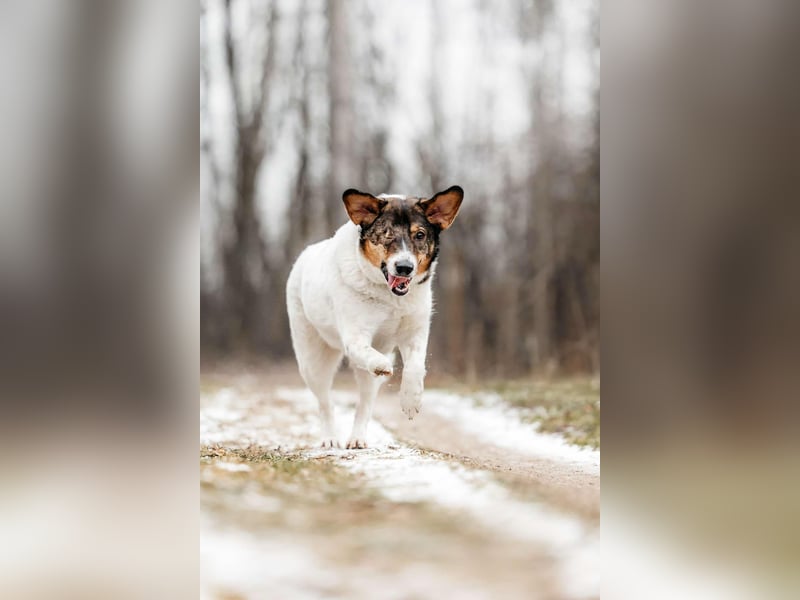 Liebevolles Zuhause für Agatha gesucht