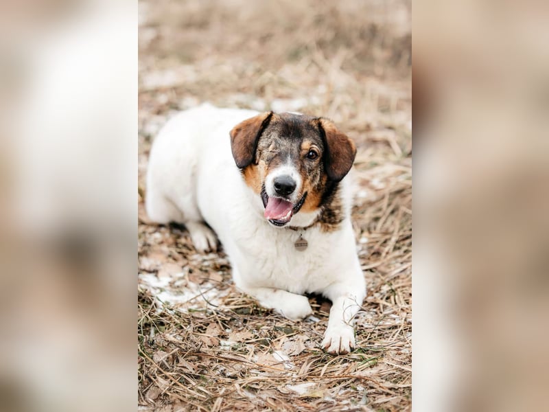 Liebevolles Zuhause für Agatha gesucht
