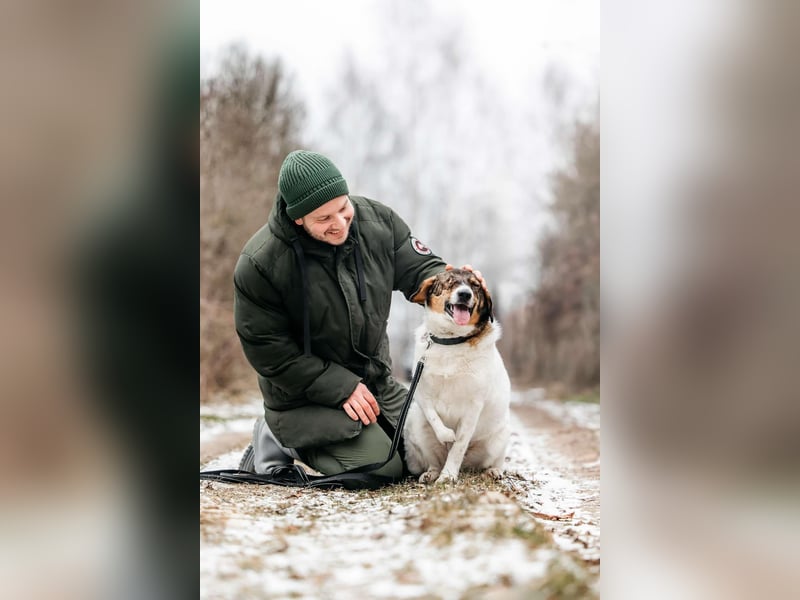 Liebevolles Zuhause für Agatha gesucht