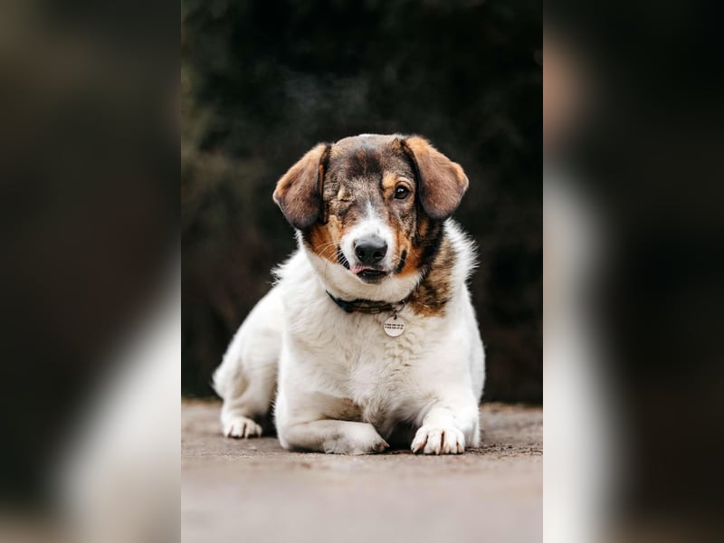 Liebevolles Zuhause für Agatha gesucht
